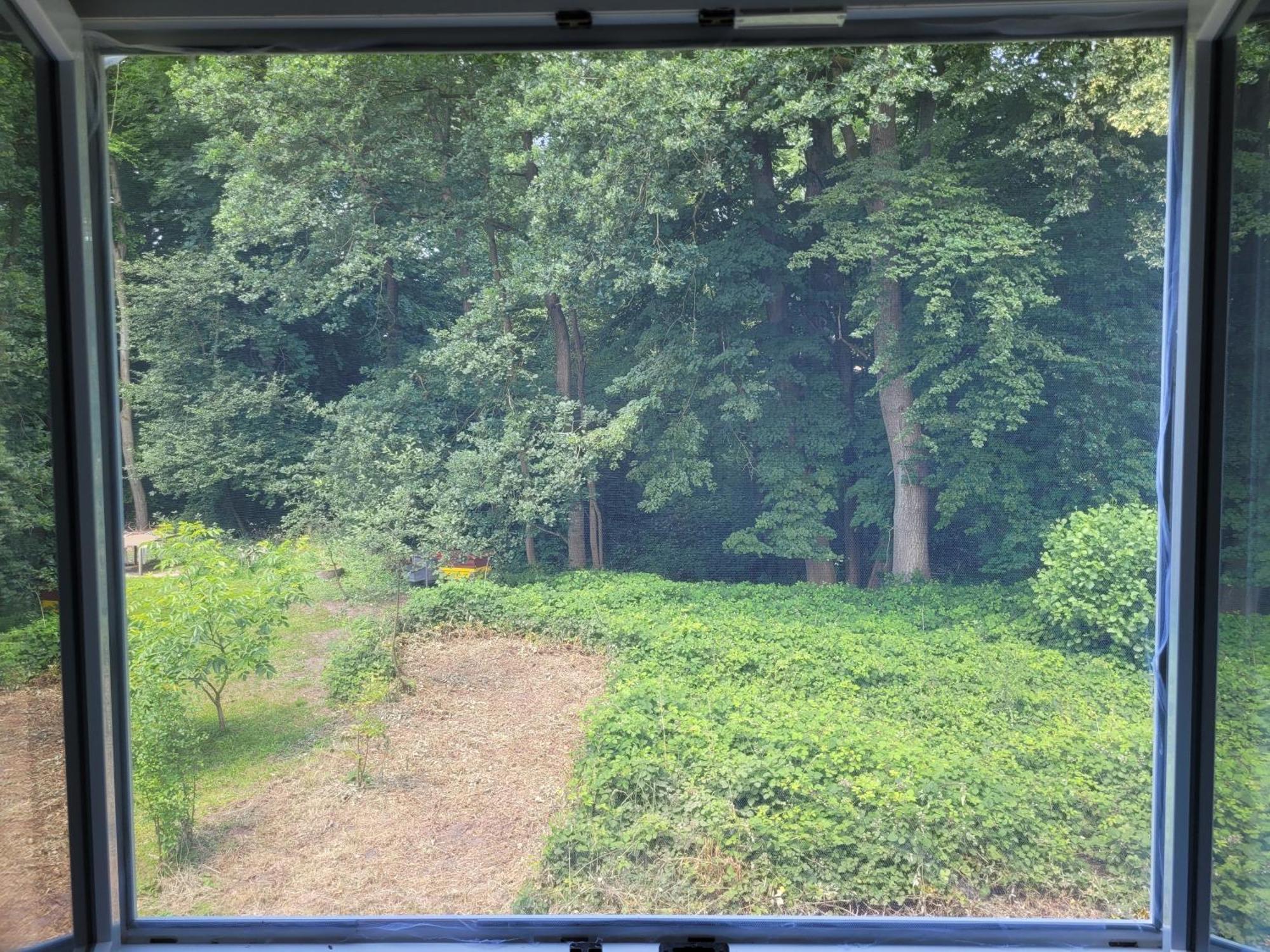 Idylischer Bachplatz Oerlinghausen Εξωτερικό φωτογραφία